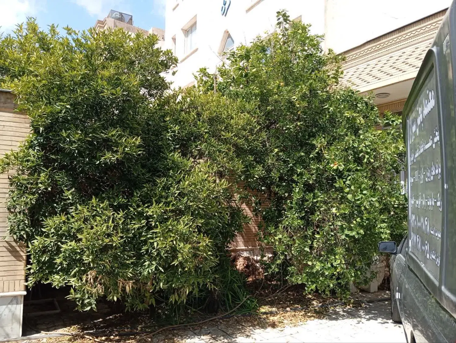 اجاره منزل ویلایی.سفیر شمالی.روبه خیابان
