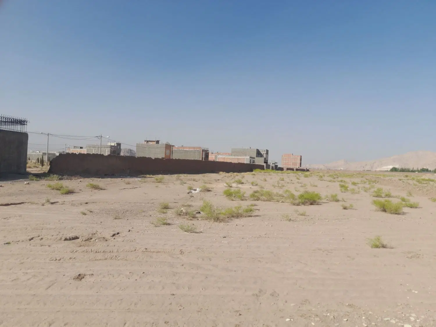 6قصب زمین کرمان