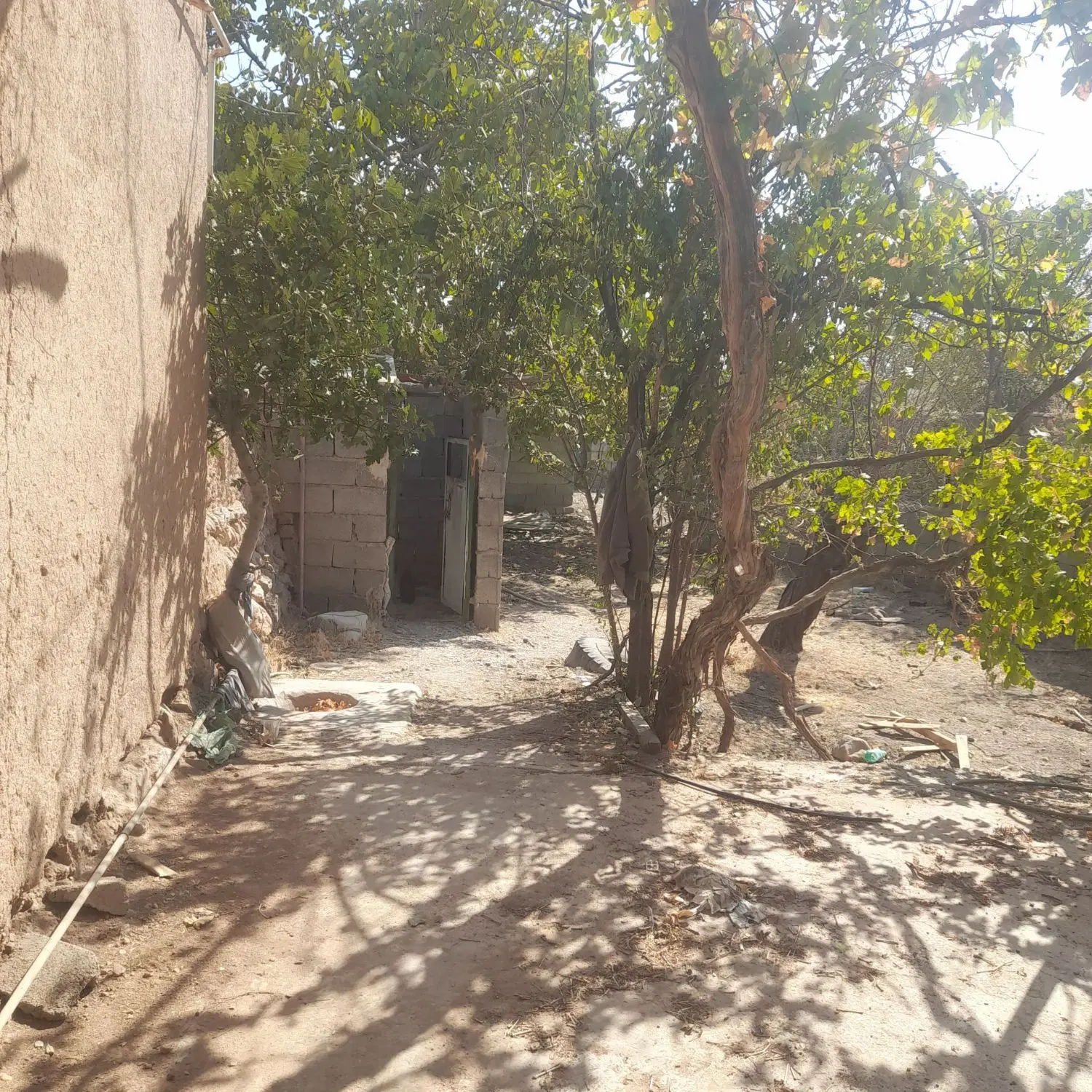 فروش خانه روستای خوش آب و هوای  سکنج