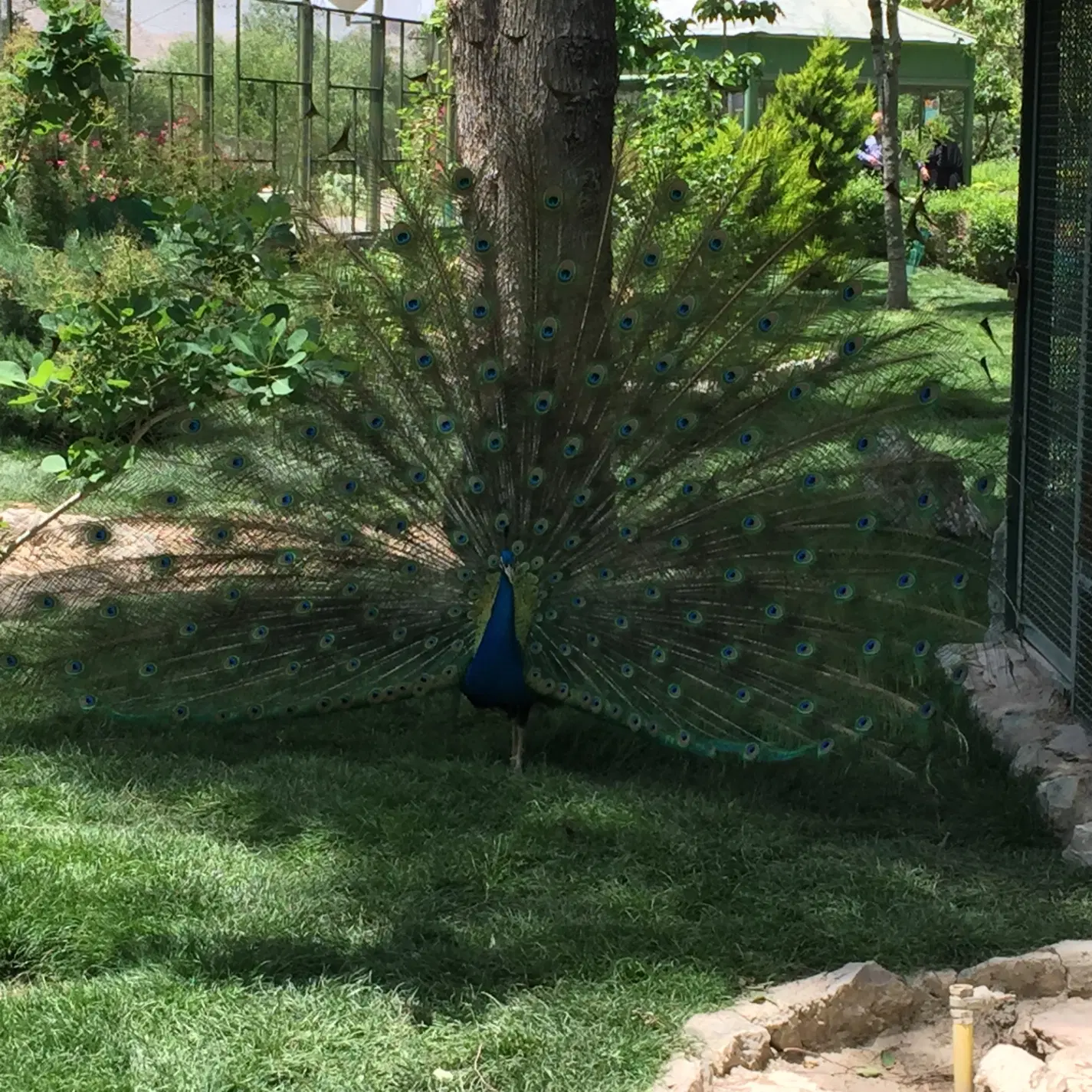 اجاره مرکز شهر