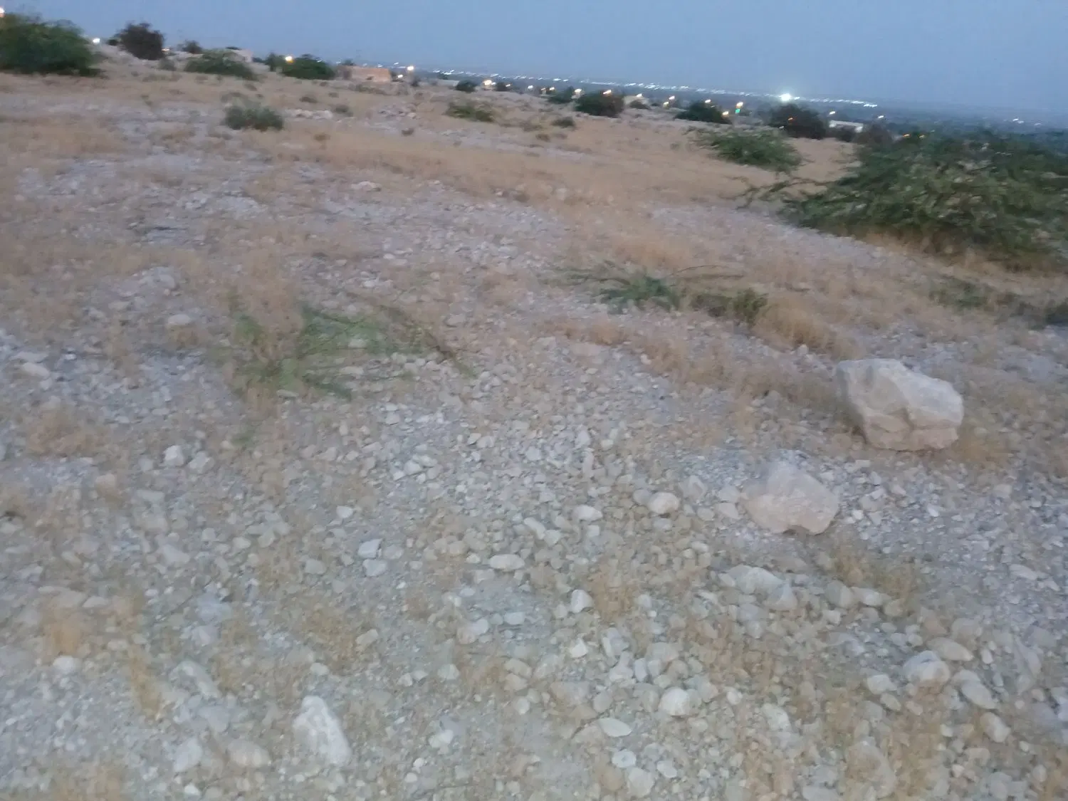 زمین