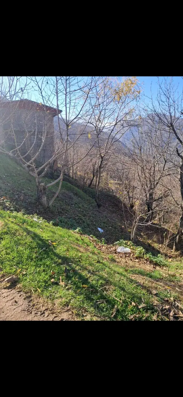 زمین متری و ساختمان