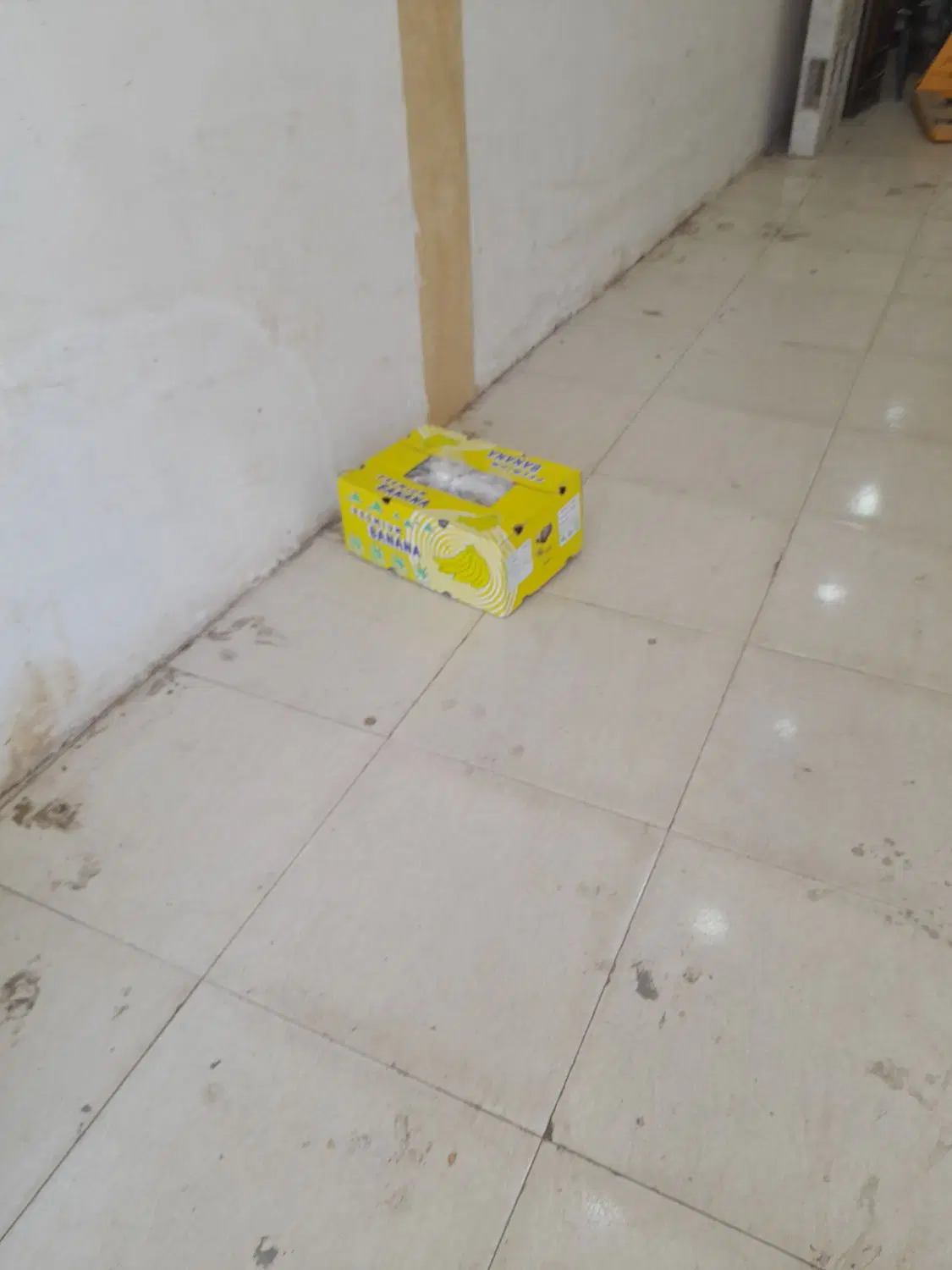 مغازه تجاری ۲۵ متری روبروی درب شرقی میدان بار