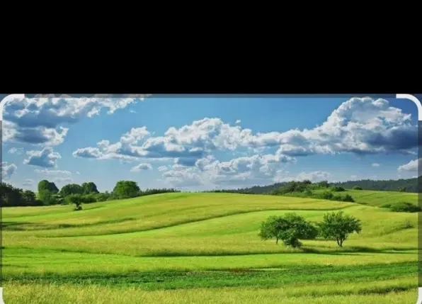 فروش باغچه ۵۰۰ متری در باغستان زیتون