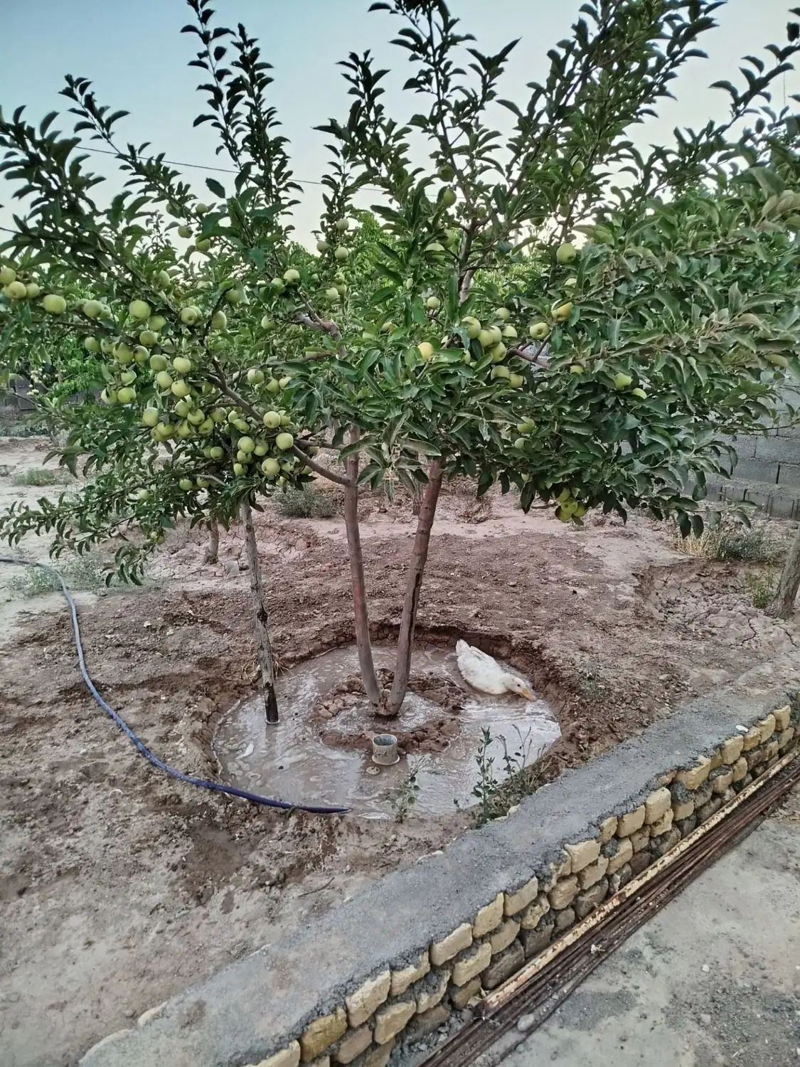ویلای ۶۴۸ متری واقع در شاهنامه فردوسی