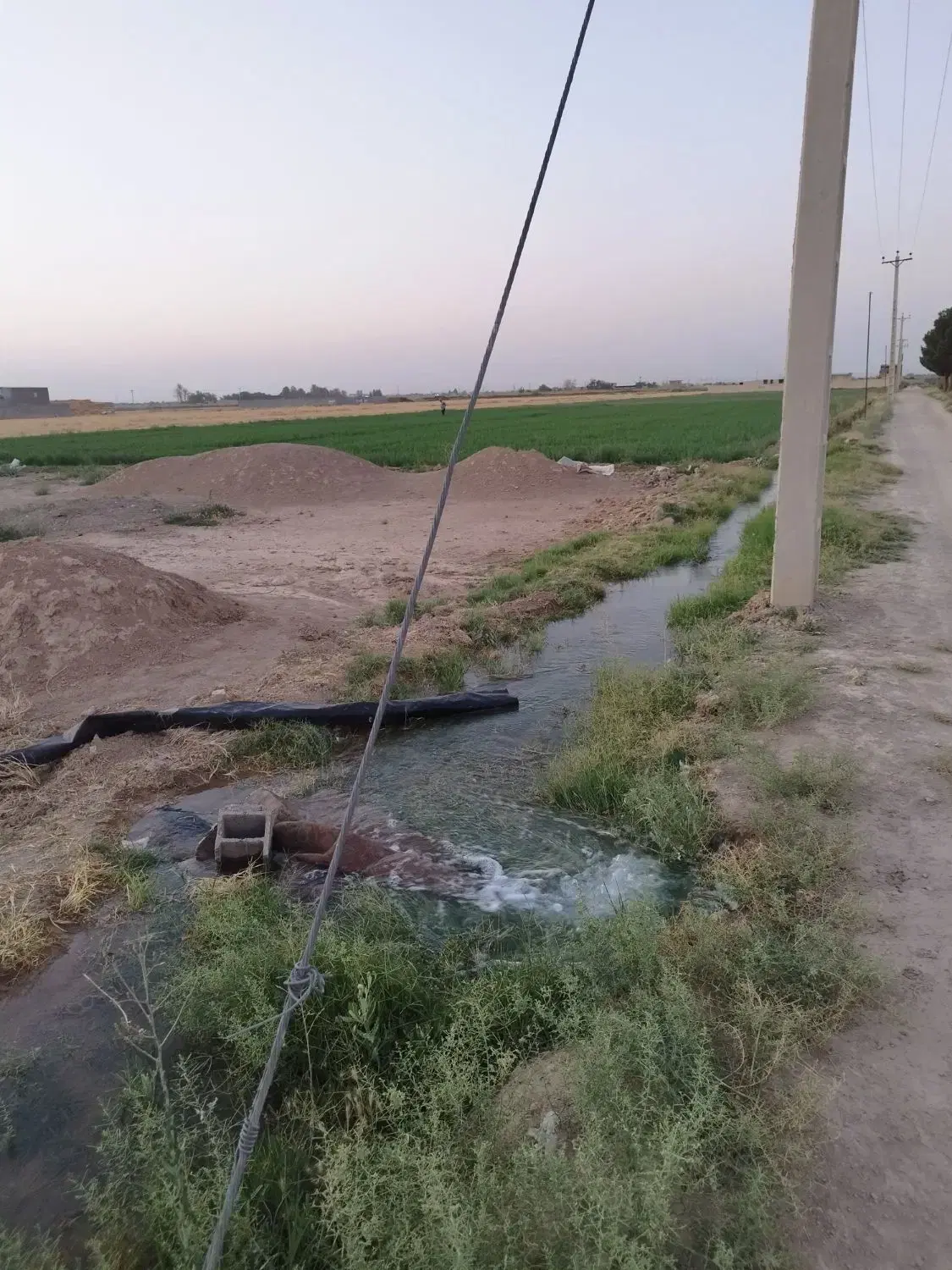 پلاک باغی کروه