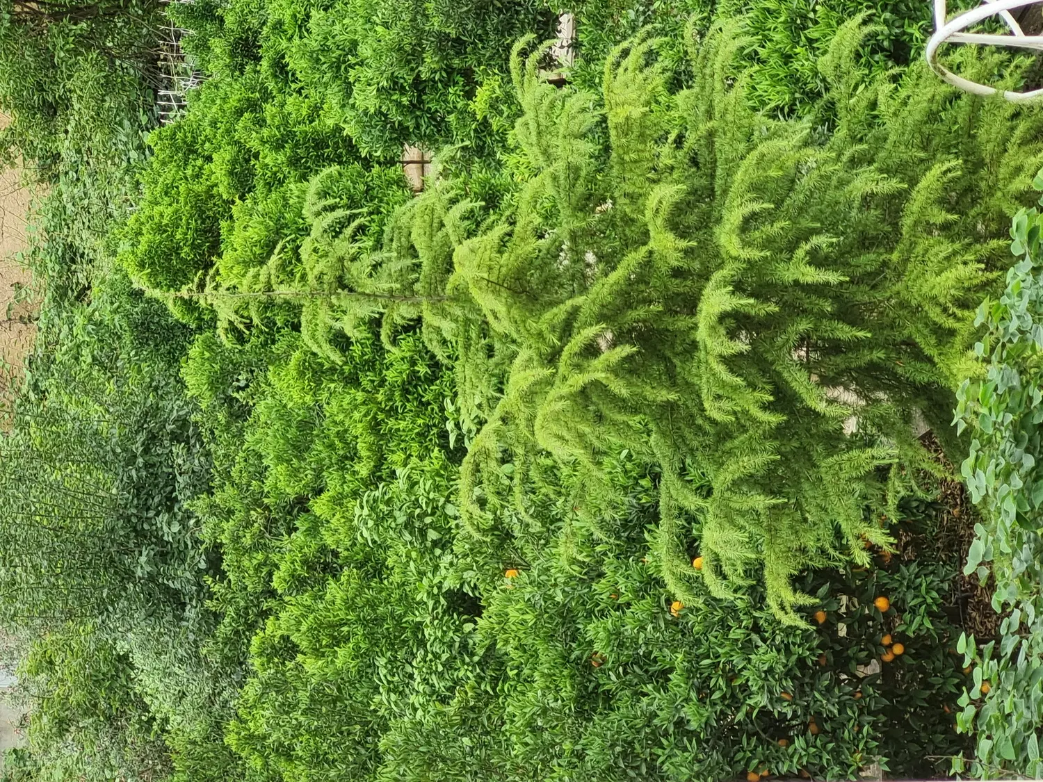 فروش زمین