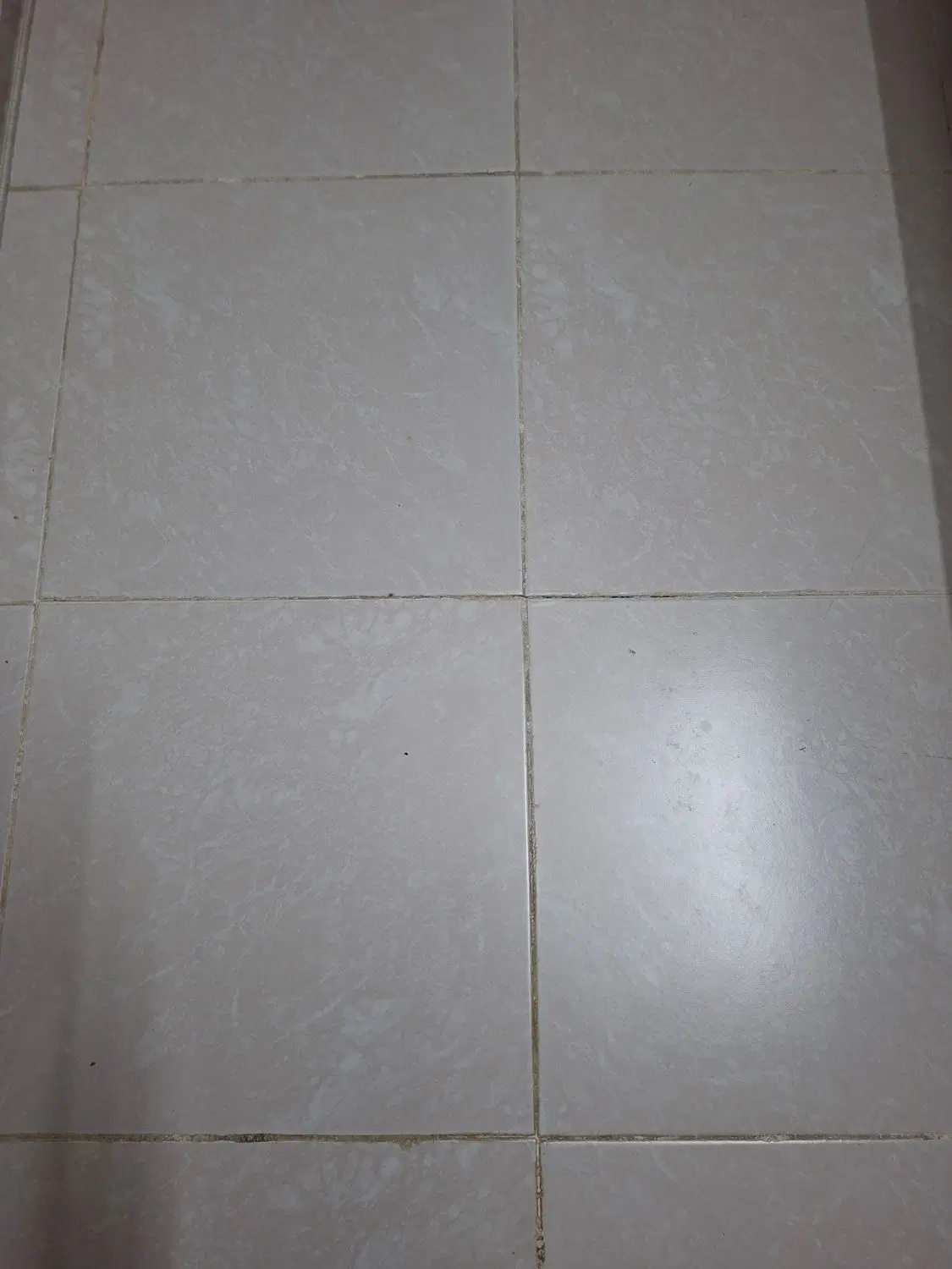 مغازه اجاره ای