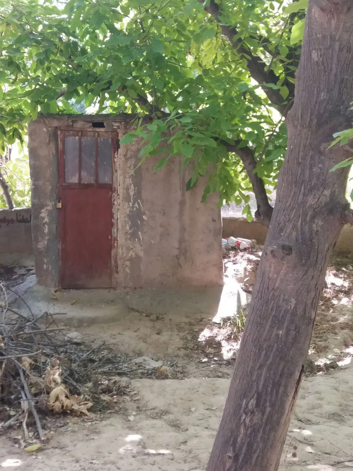باغ گردو