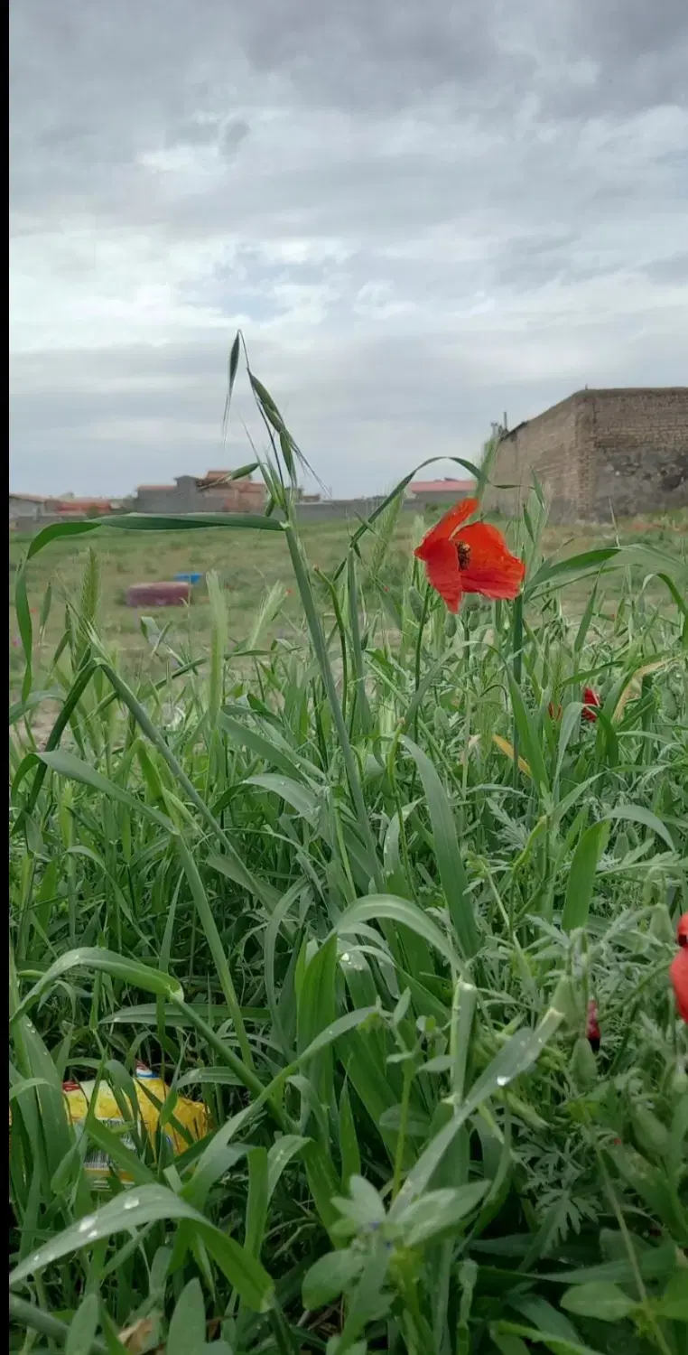 زمین مسکونی دربهشت