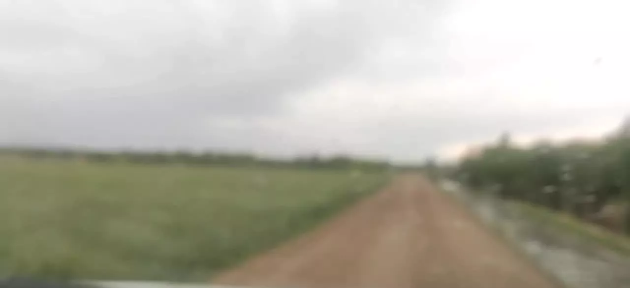فروش زمین باغچه