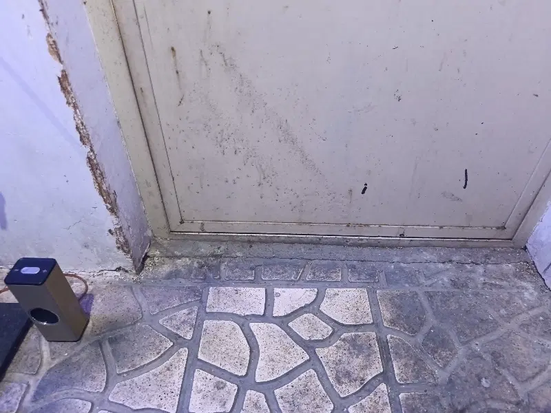 زمین در کاشان