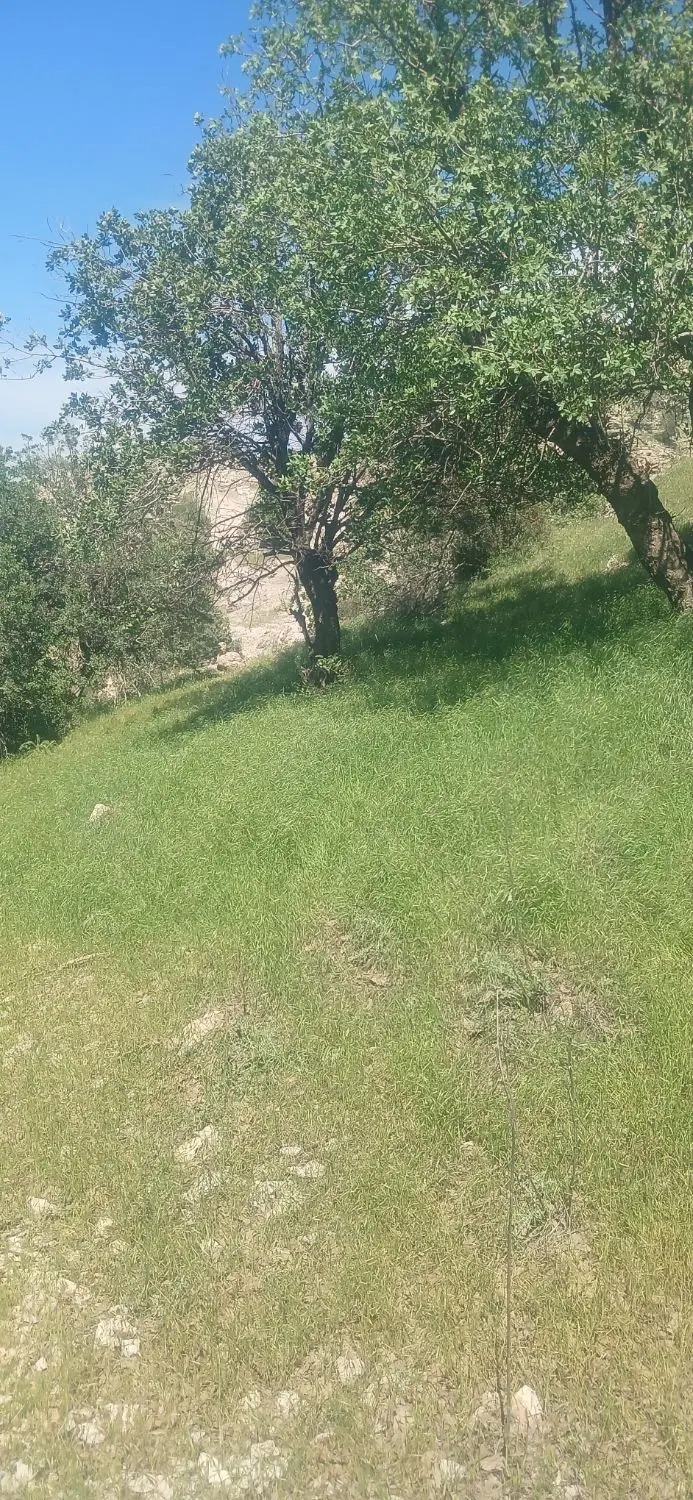 زمین پشت تپه شنی