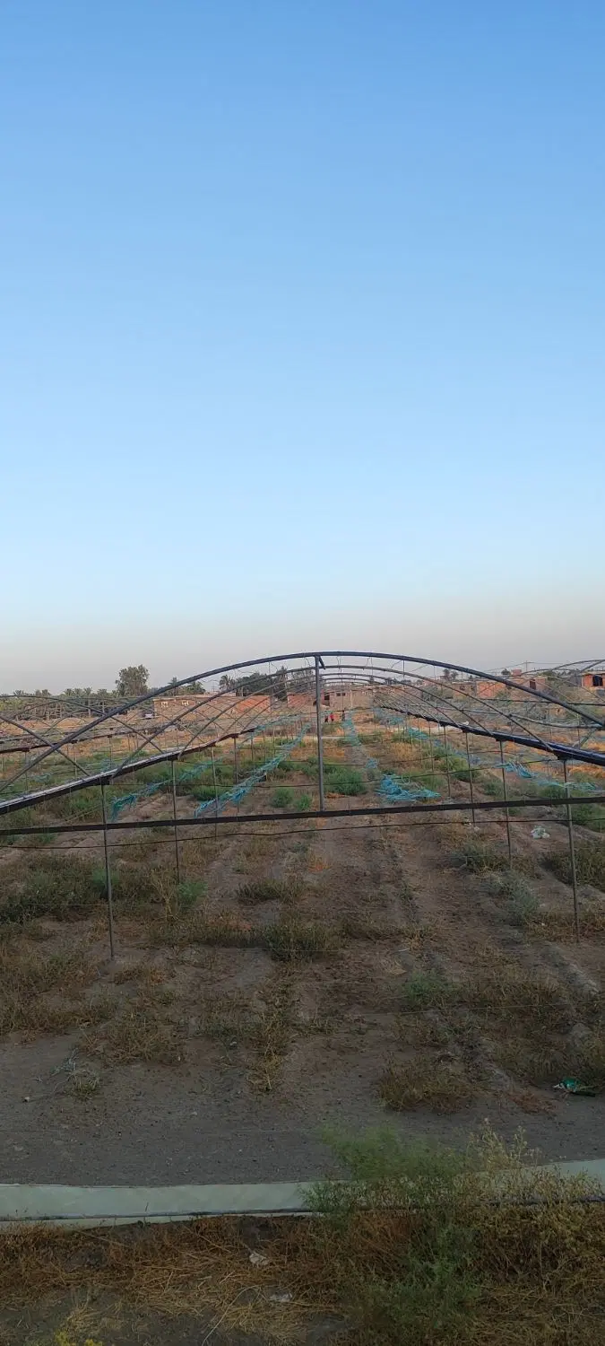 فروش  ۳هزار متر سازه گلخانه با تمام وسایل