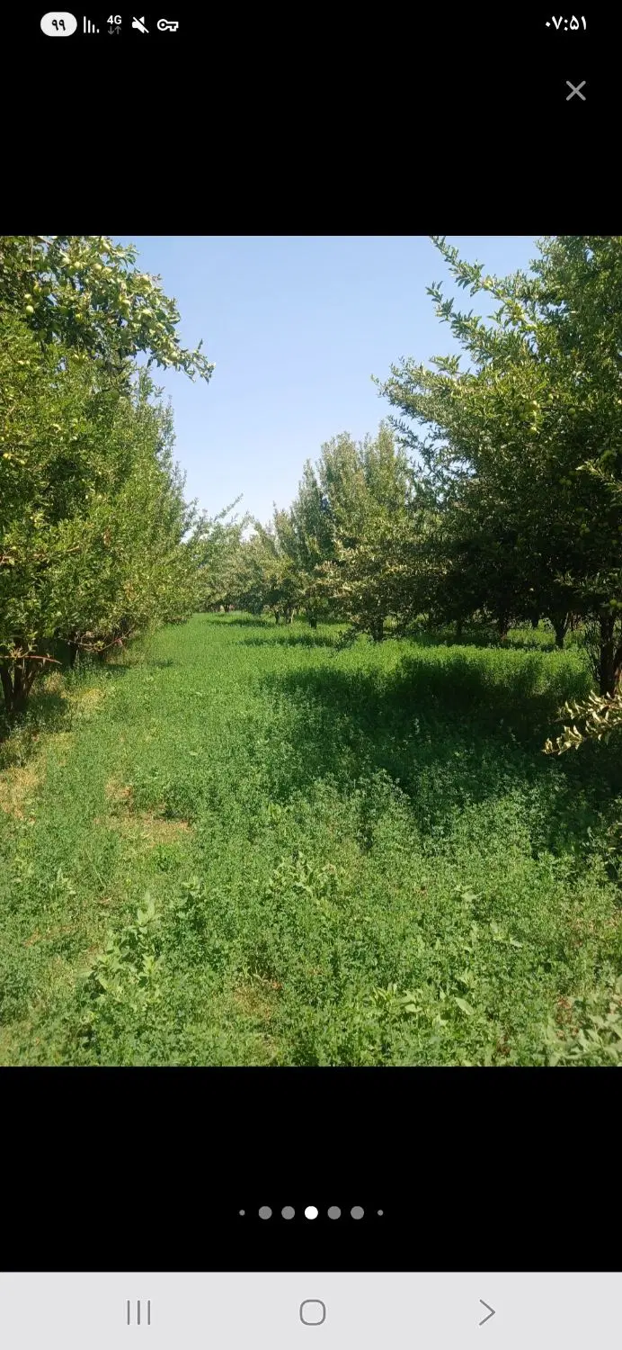 فروش باغ دشتروم