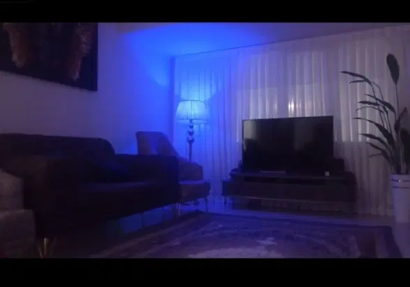 همخونه همخانه
