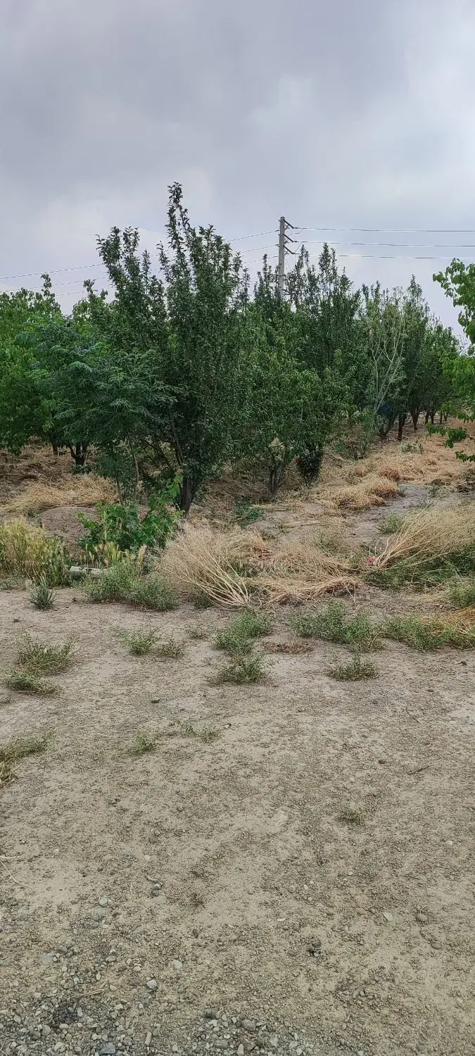 باغچه ۴۵۰متری سند دار