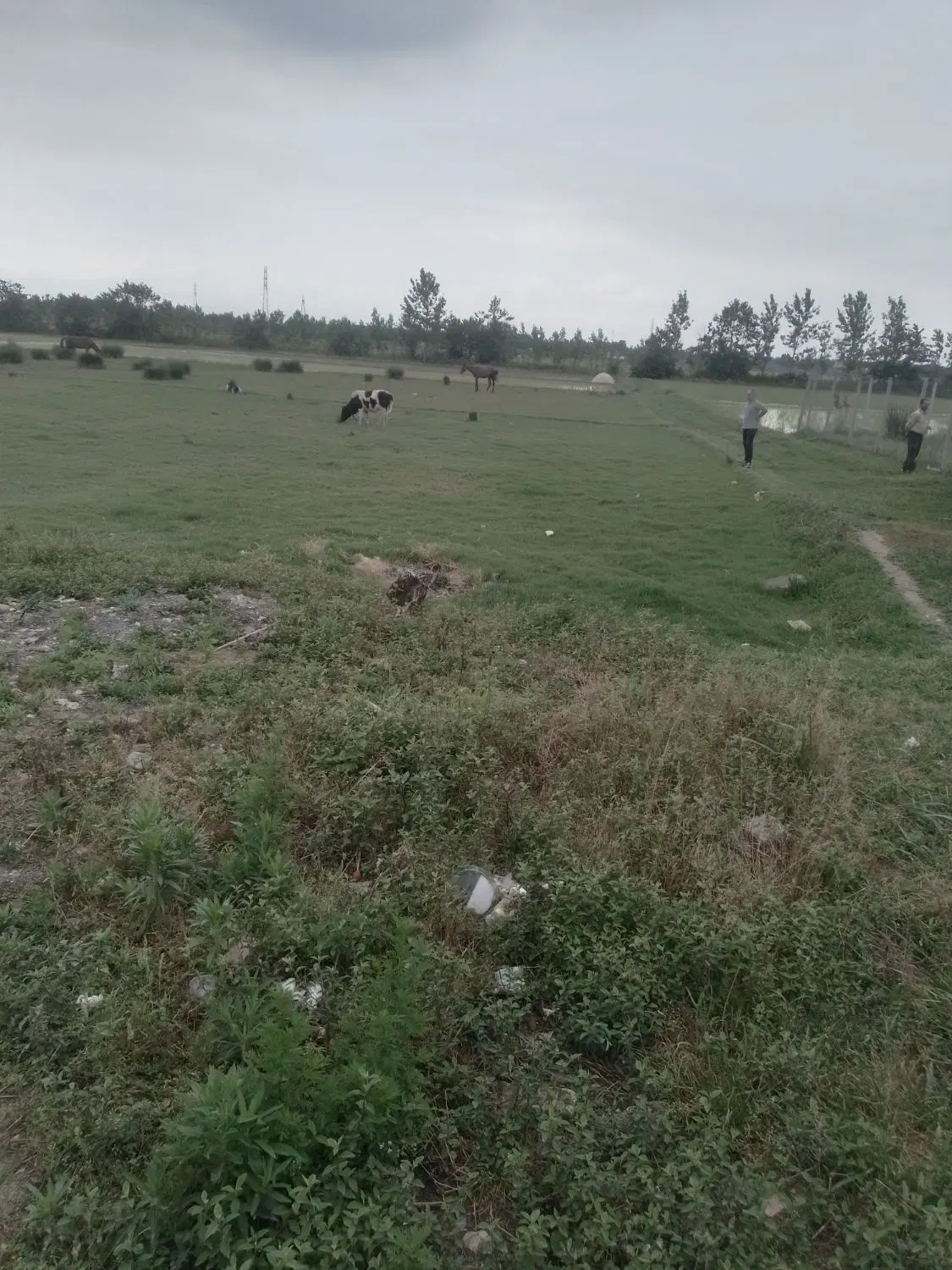 فروش زمین ۱۵۰۰مترروستای پس ویشه