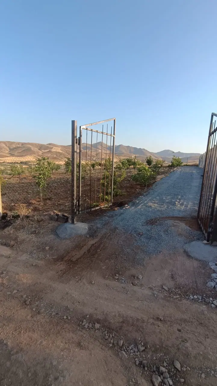 باغ 1200متری