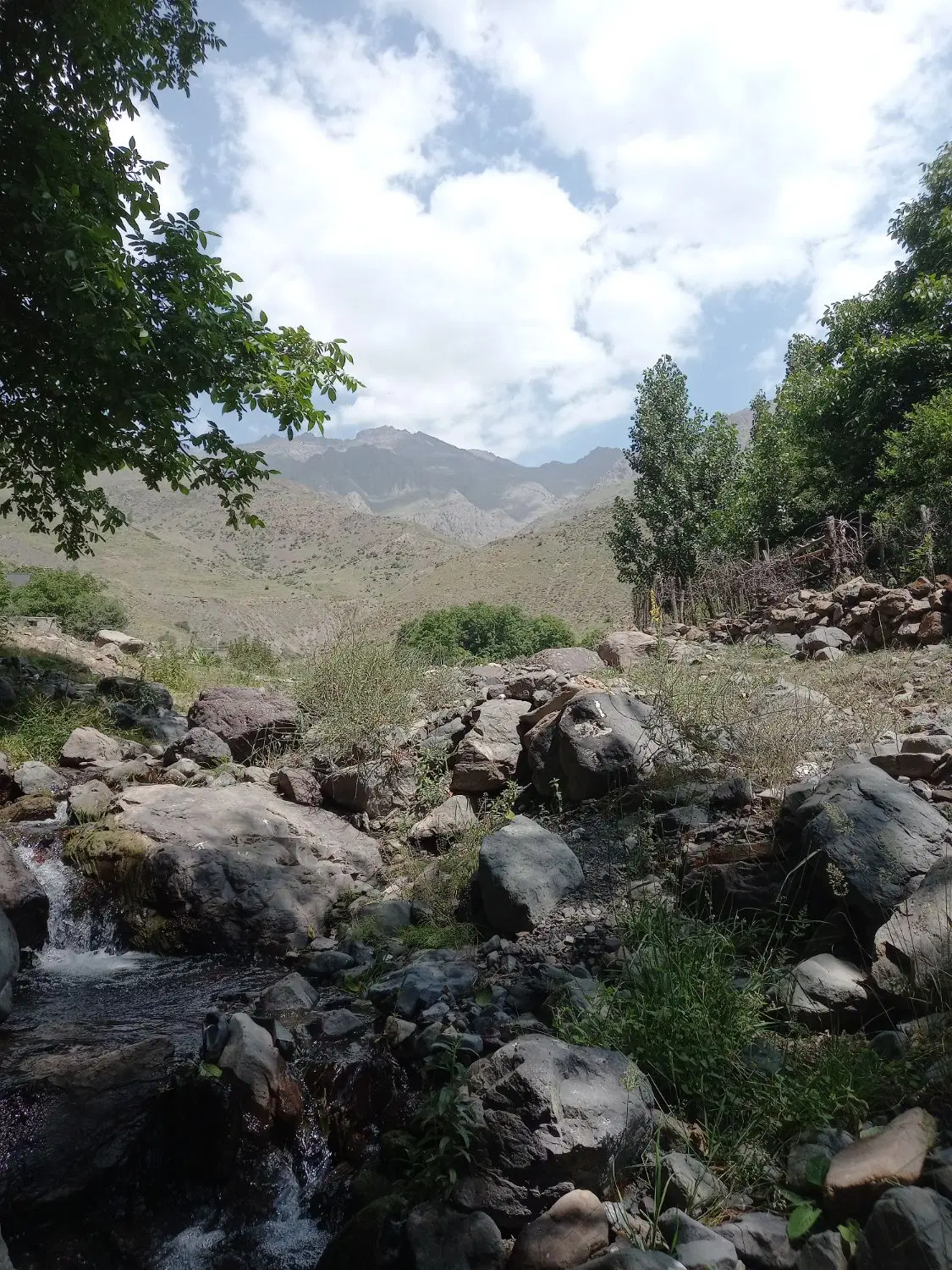 زمین ۲۳۰ متر