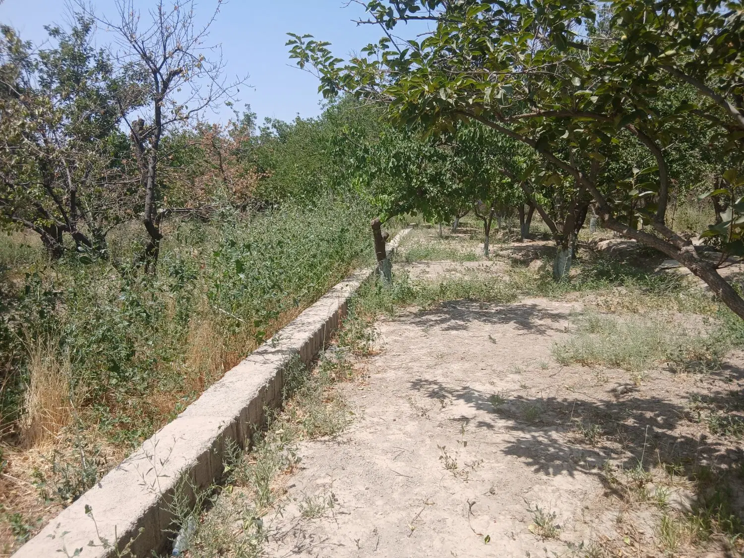 فروش باغچه سنددار