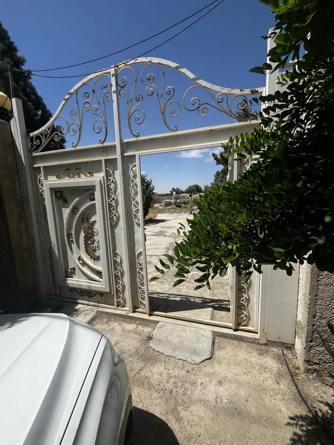 ۲۵۰ متر زمین شهرکی سند دار