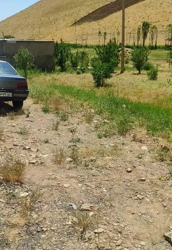 زمین کشاورزی روی جاده جدید مریوان سنندج