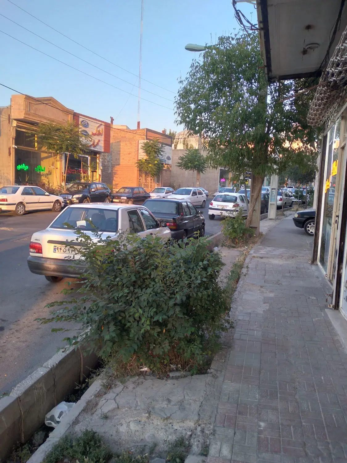 مغازه‌ اندیشه‌‌ بره‌ خیابان‌ ۱۸‌ متری‌ شقایق