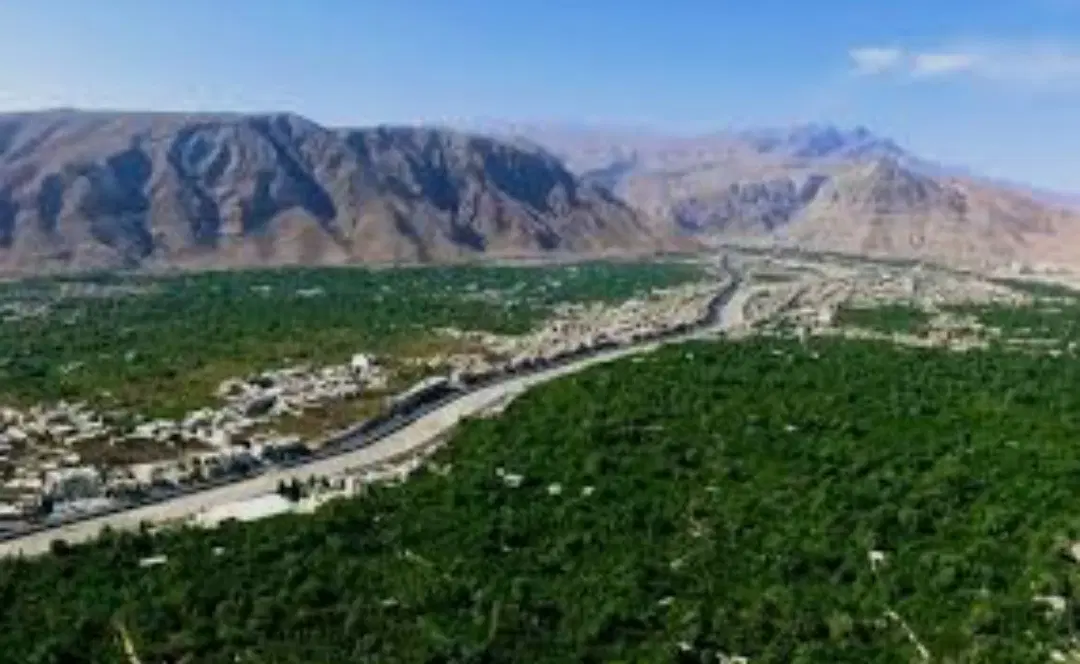 زمین مسکونی