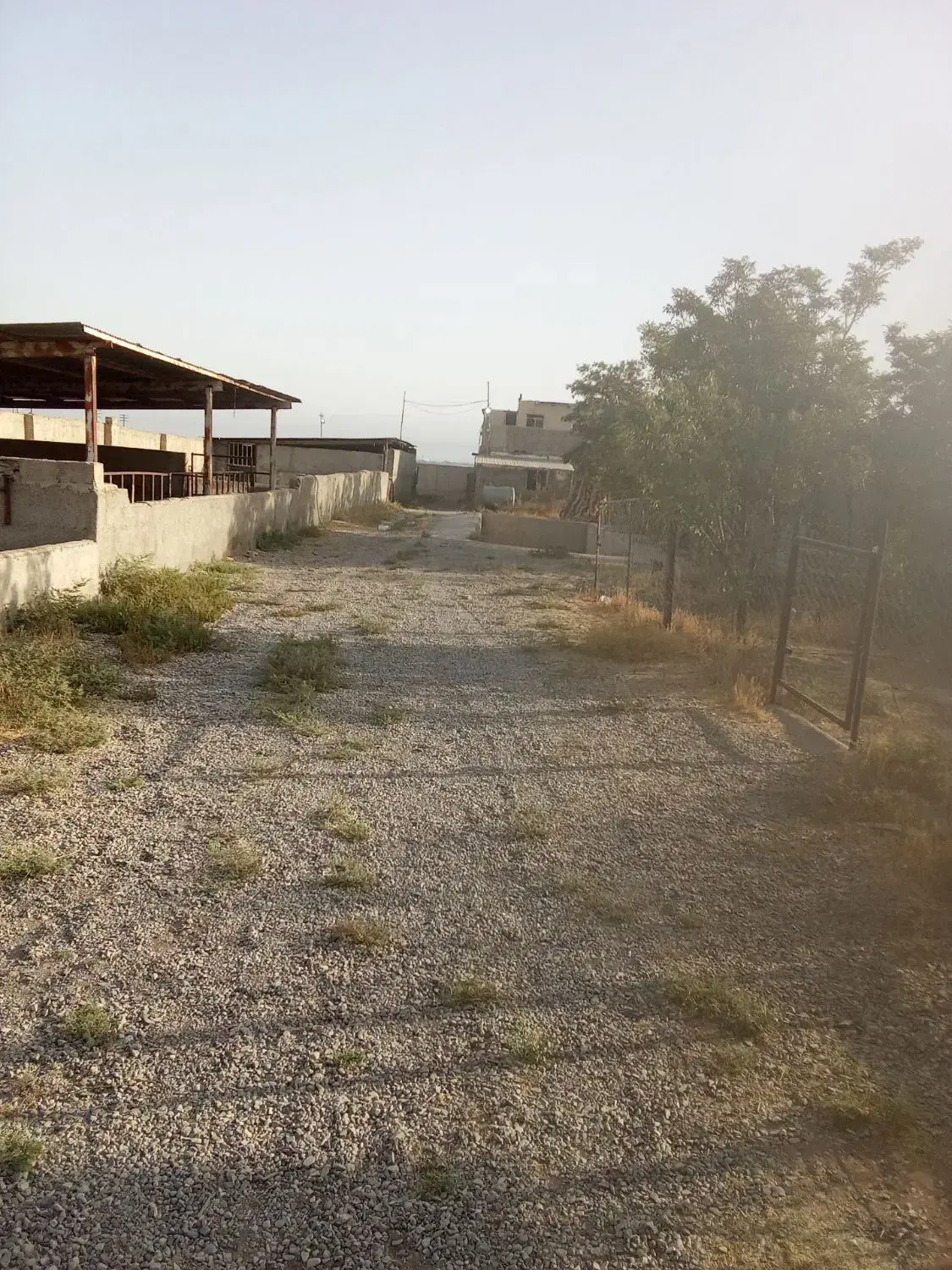 دامداری۲۰۰راسی