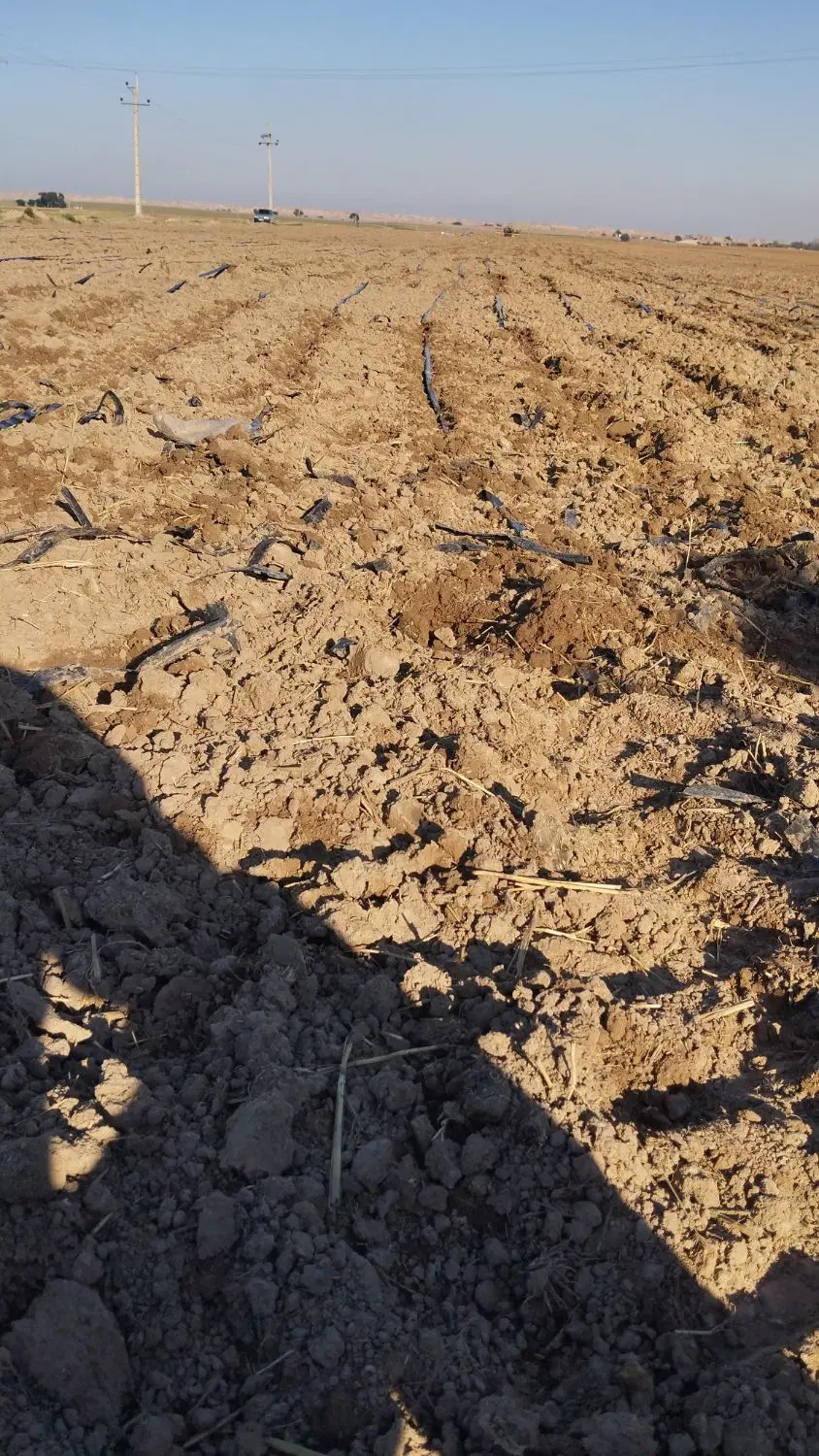 زمین کشاورزی