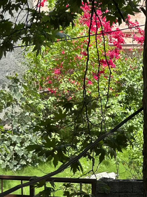 زمین مسکونی ، پستک
