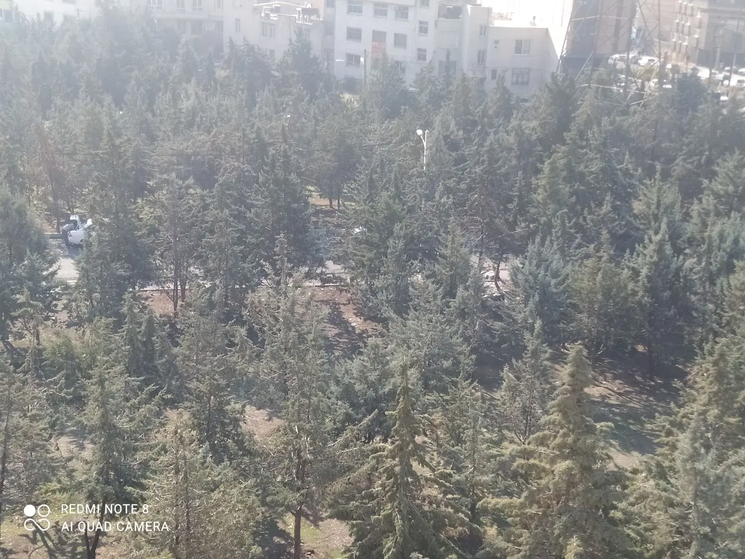 ۶۵۰۰ متر زمین با ۳۰۰ متر بنا در رامسر با جواز