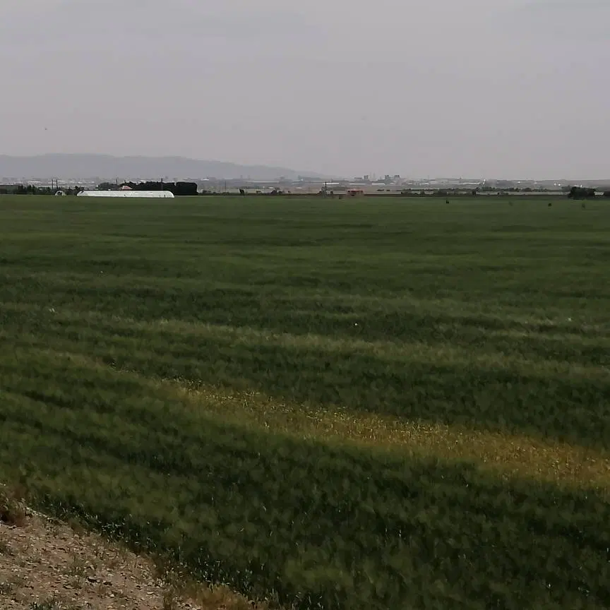 زمین ۱۶۵۰۰ متری دوکله با سهم آب