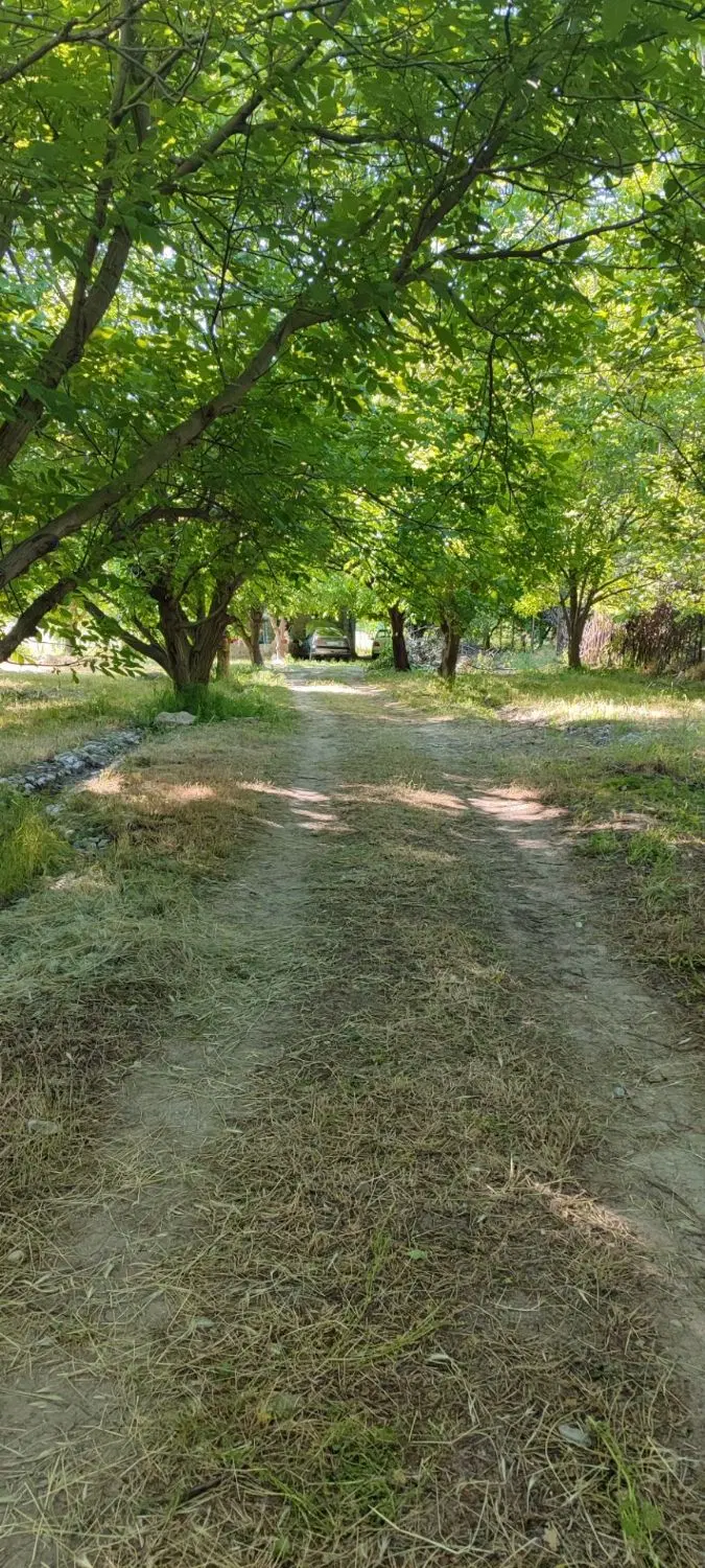 فروش باغ ۶۰ساله۲۵۰۰متری