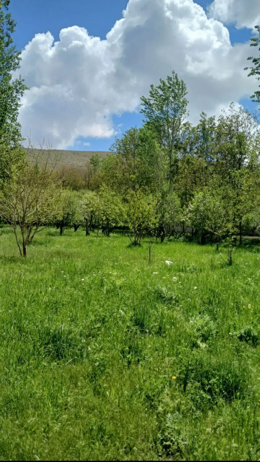 زمین ویلایی باسمنج هروی کوی باران