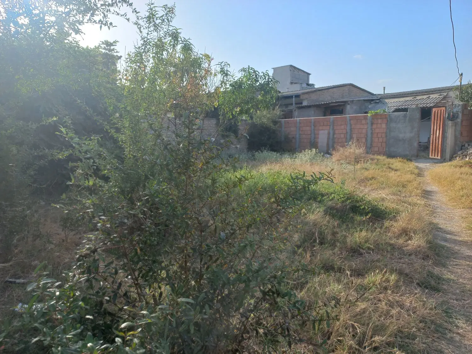 زمین یساقی