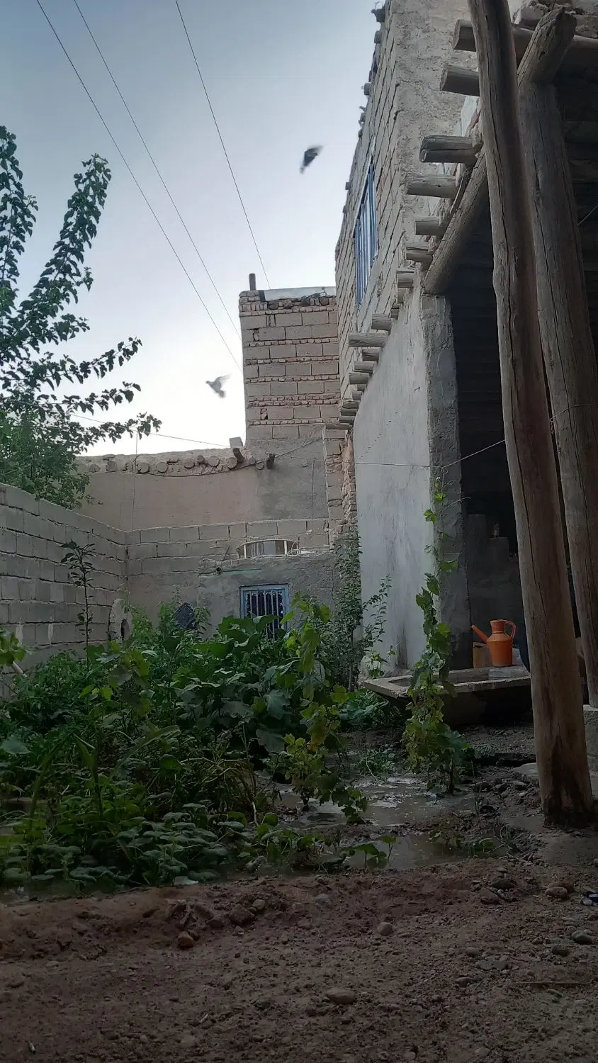 تالوار ۱۲۰ متر