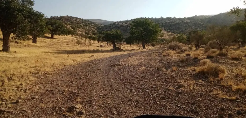 فروش زمین
