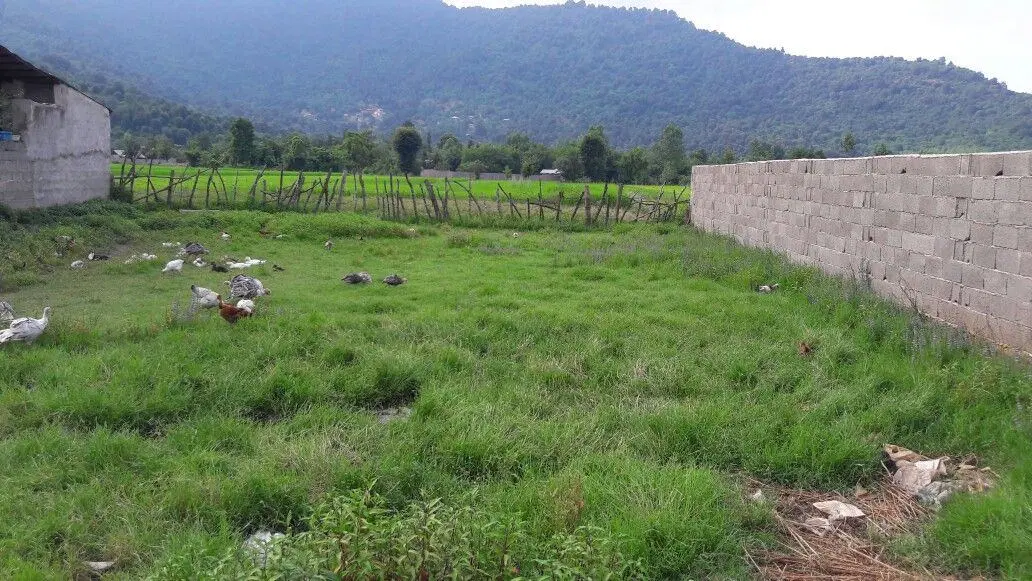 310 متر زمین مسکونی با سند تک برگ