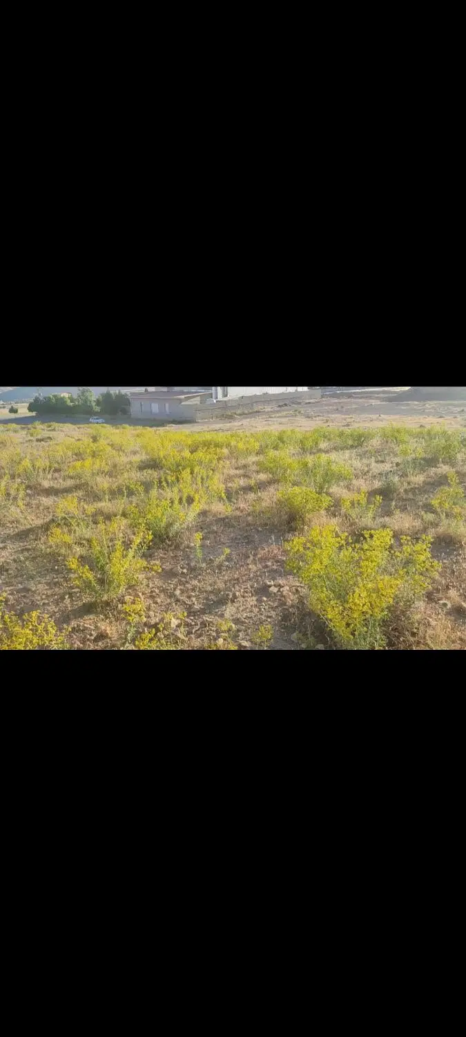 زمین بلوار پژوهش