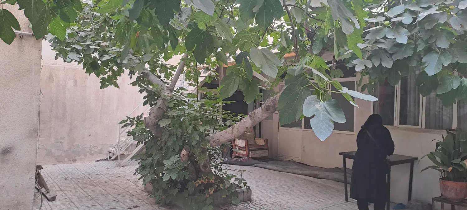 فروش ملک گلنگی ۱۴۷ متری