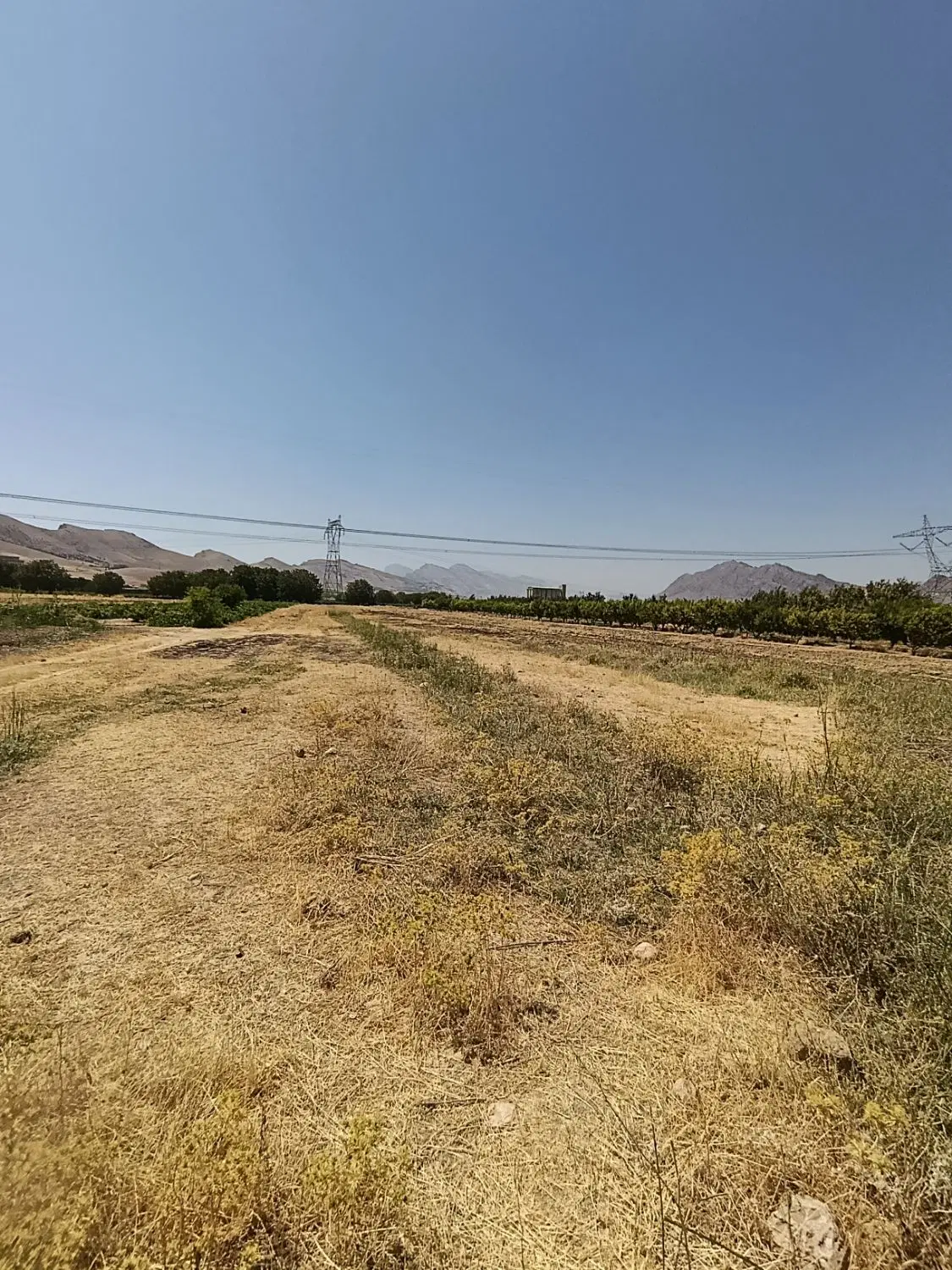 500متر زمین کشاورزی در حسن آباد کمالوند