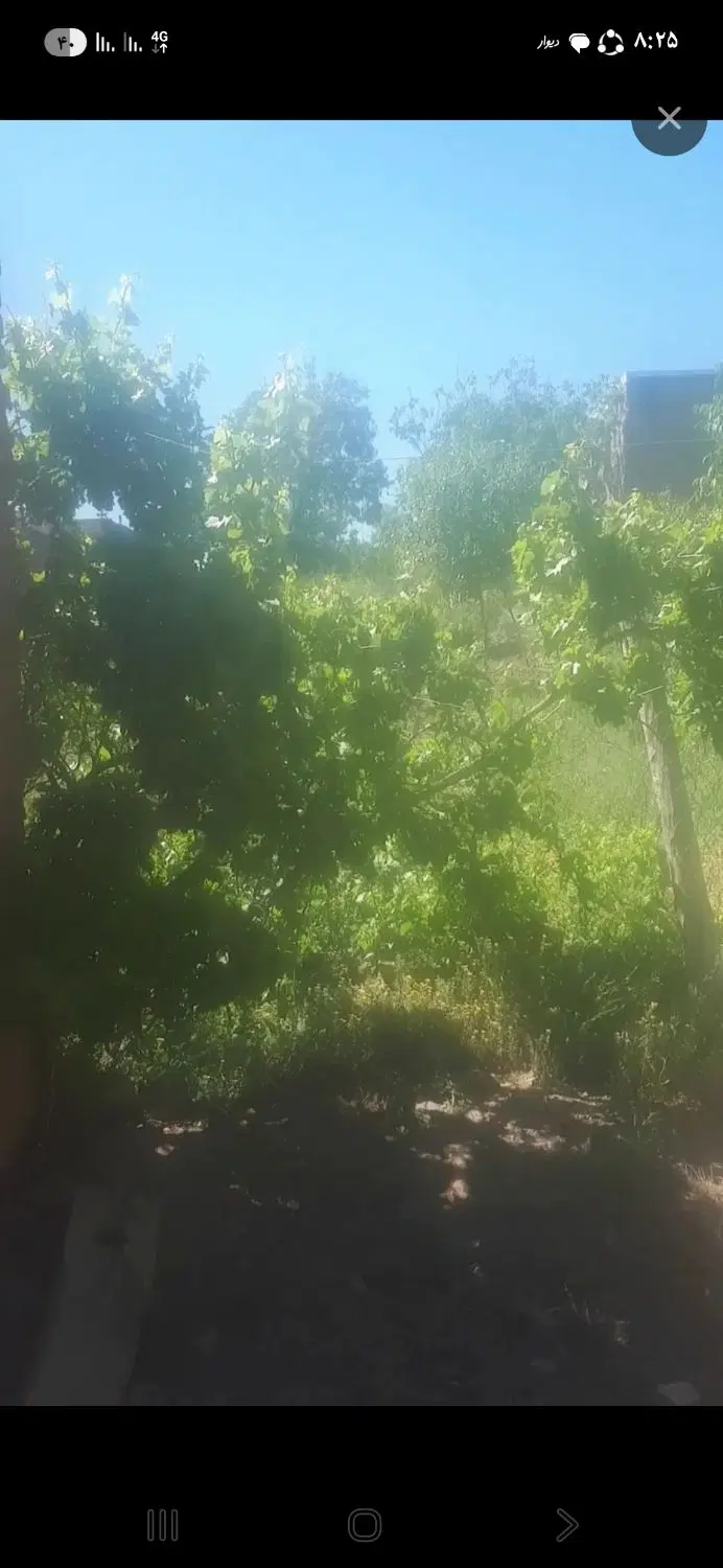 زمین‌‌باغی‌به‌متراج‌هزارمتر