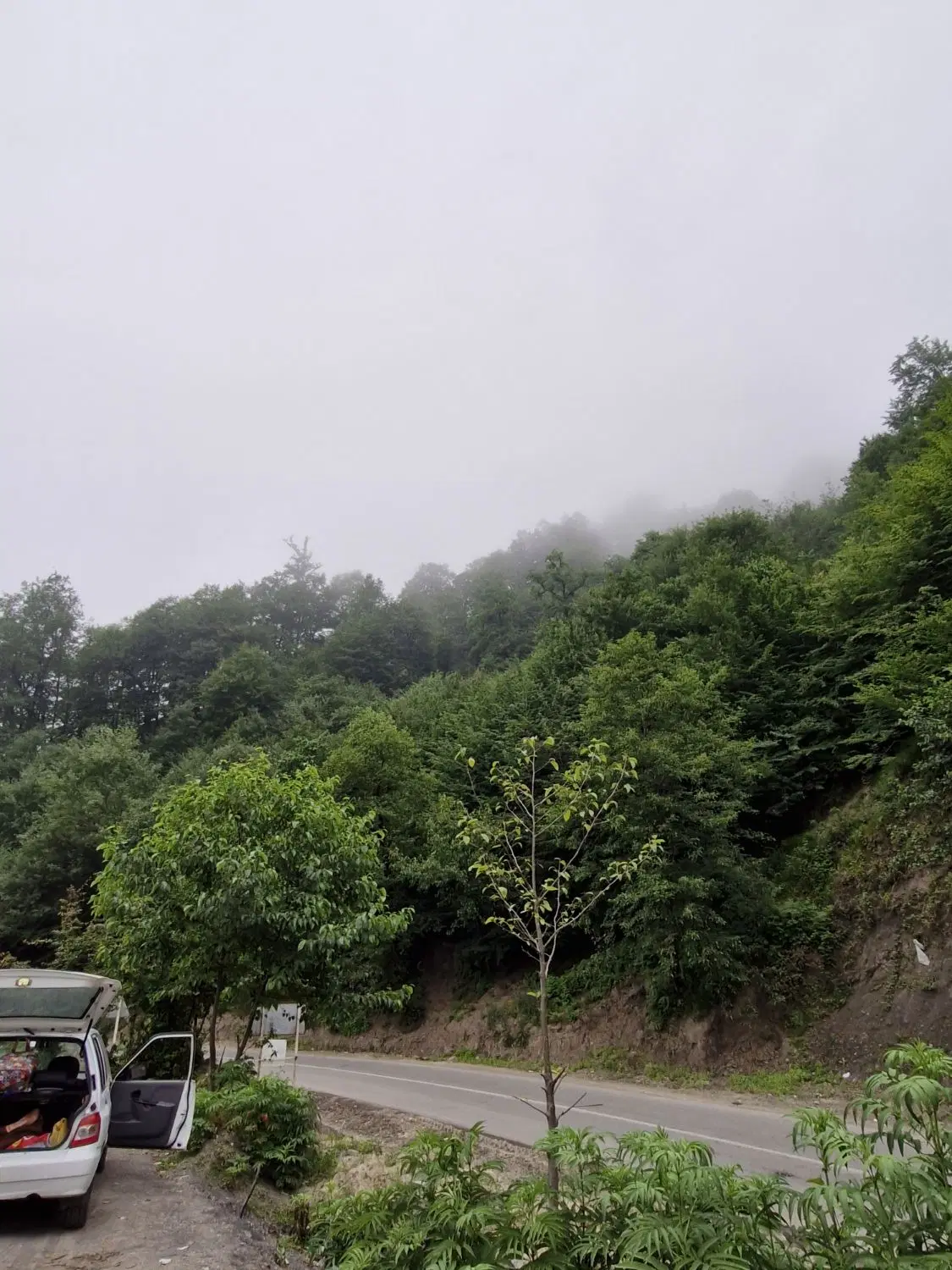 باغ برای فروش