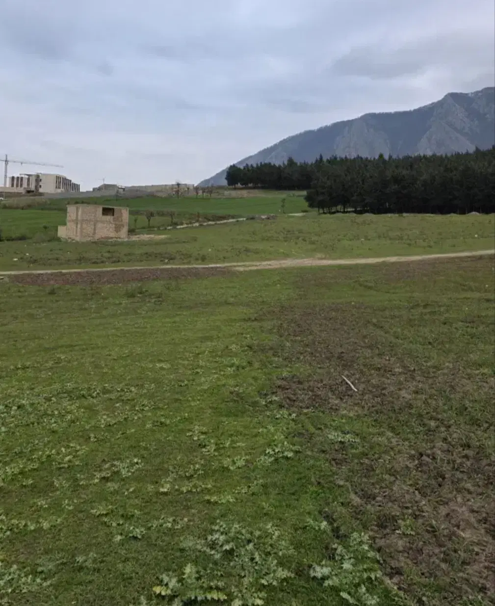 مسکونی.نقدی پور