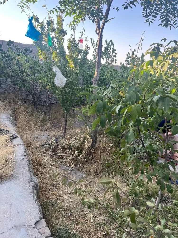 خانه ویلایی