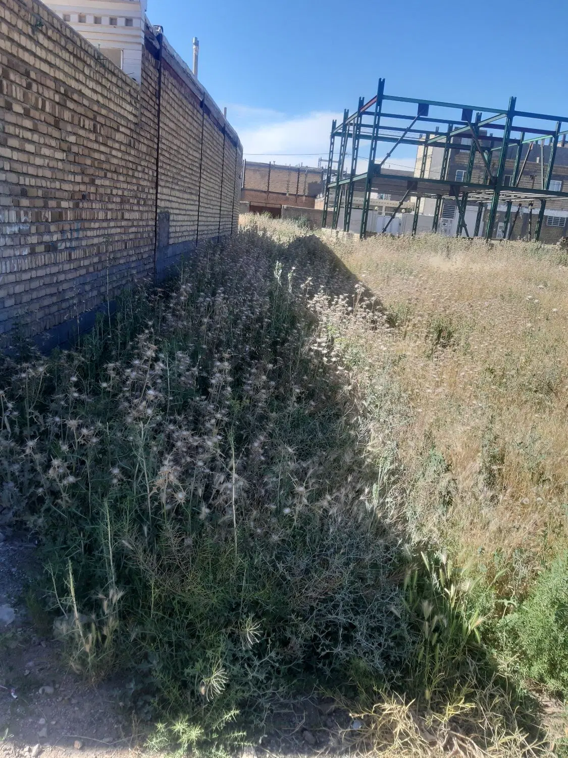 زمین خیابان دارایی