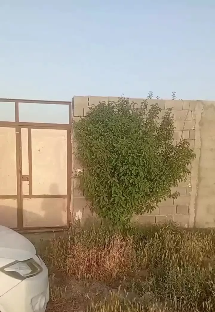 باغ فروشی
