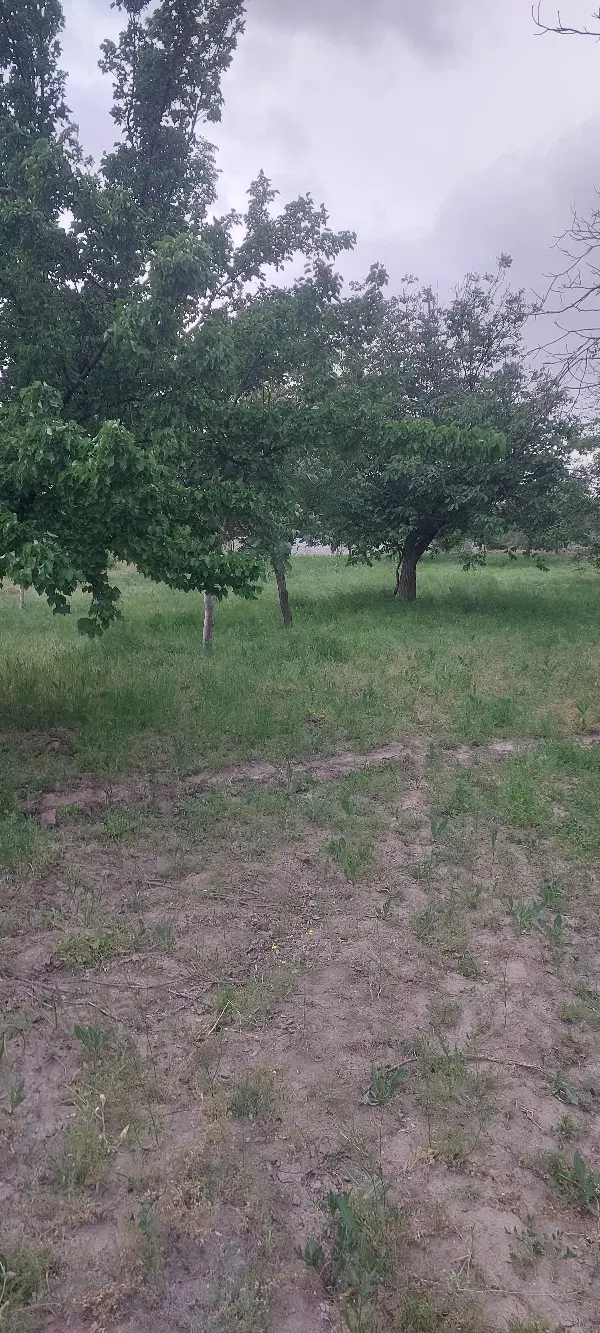 فروش باغ روستای شمس آباد